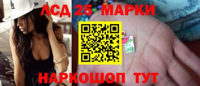 твердый Кингисепп