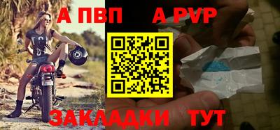 твердый Кингисепп