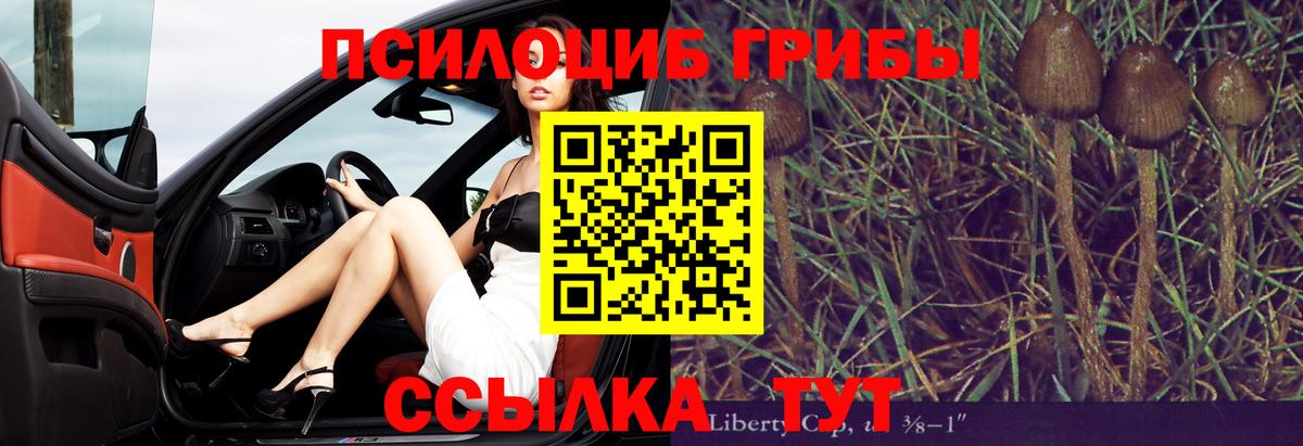 Лесозаводск  Галлюциногенные грибы MAGIC MUSHROOMS  купить  цена  Псилоцибиновые грибы GOLDEN TEACHER  Вход с VPN 