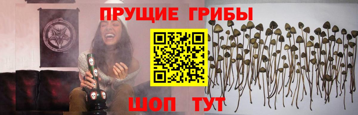 Галлюциногенные грибы Magic Shrooms Лесозаводск